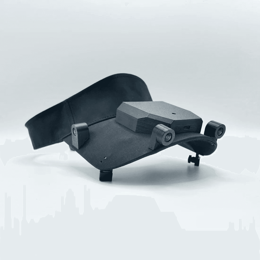 Head-mounted camera rig